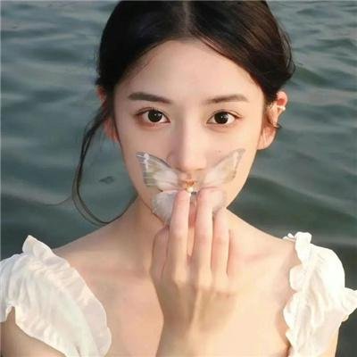 野兔子普查